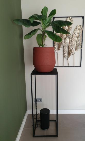 3 Pcs Papaya Flowerpot, shelf, flowerpot, coffee table