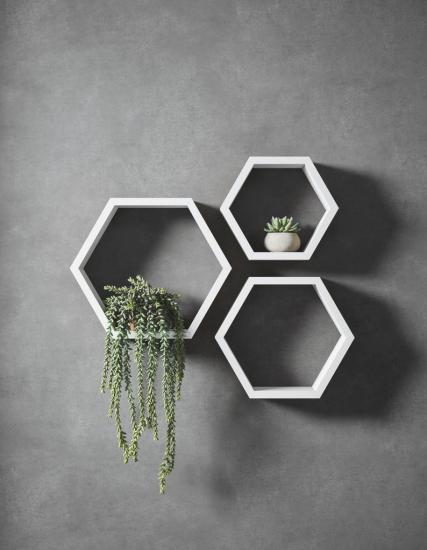 Honeycomb Set Rack | Shelf | Home Decoration | Monge Design | Home Decor | Art | Shopping