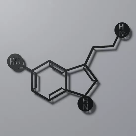 Serotonin Metal Tablo | Ev Dekorasyon |  Duvar Tablosu | Monge Dizayn | Ücretsiz Kargo | Kapıda Ödeme