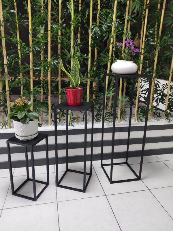 3’Lü Papaya Saksılık